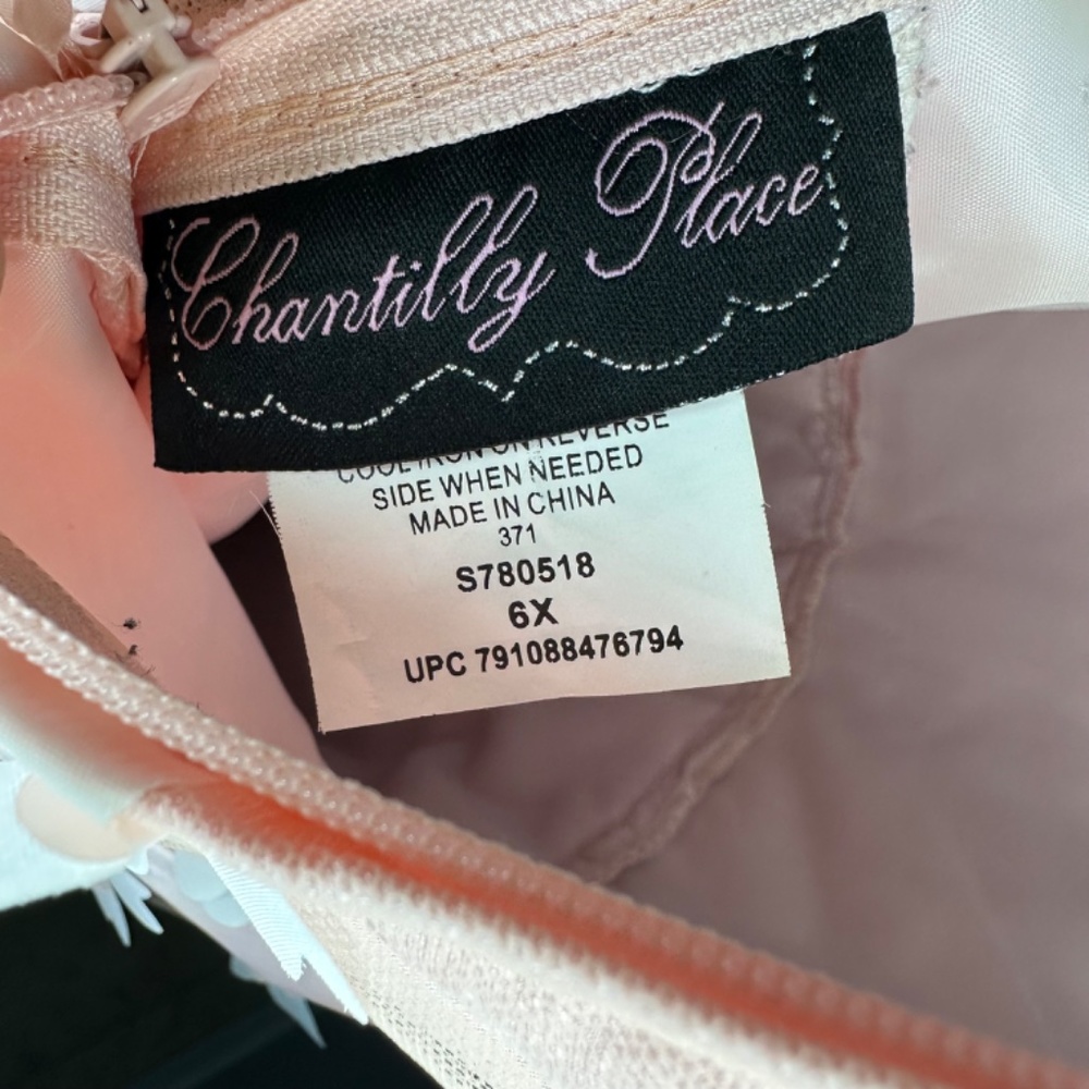 Chantilly place Size 6 girl formal gown. Wedding dress. kids dress - Picture 10 of 12